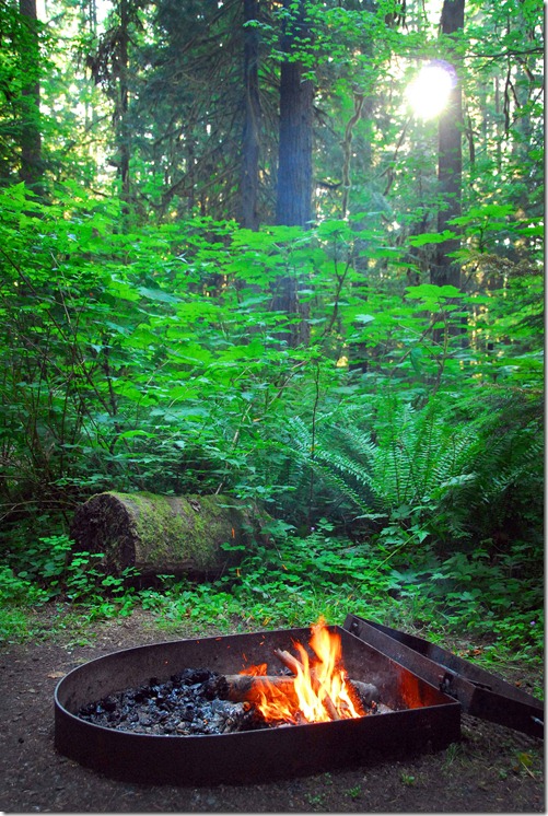 Cispus Campfire 1