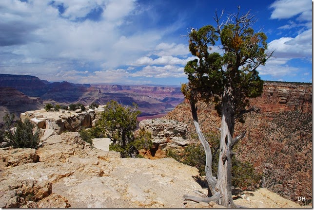 05-12-14 C Grand Canyon National Park (223)