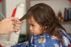 IMG_3277 IMG_3277