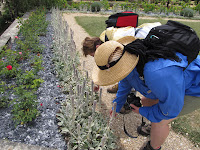 Jardins de La Chatonniere