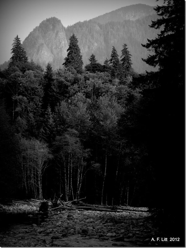 River, Trees, Mountain.  Taylor River.  Middle Fork Snoqualmie River Valley.  Washington.  August 13, 2012.  Photo of the Day by A. F. Litt: September 6, 2012