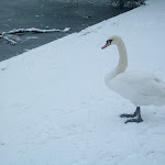 image14.jpg