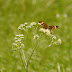 P1040346
