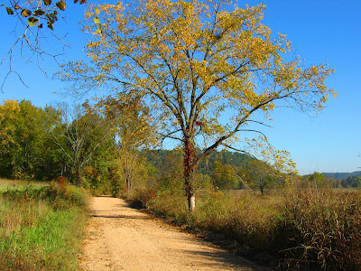Country roads near Rock Eddy
