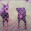 100_8739.jpg