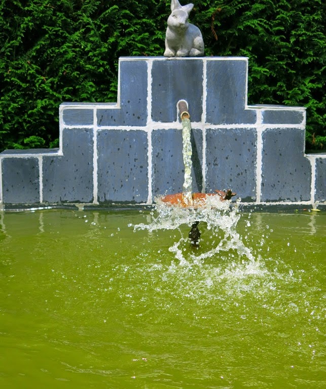 [IMG_4947%255B4%255D.jpg]