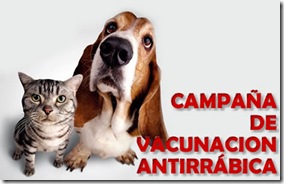 Continúa la campaña de vacunación antirrábica para perros y gatos