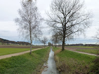 The Limpach
