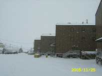 re_SA500095.jpg
