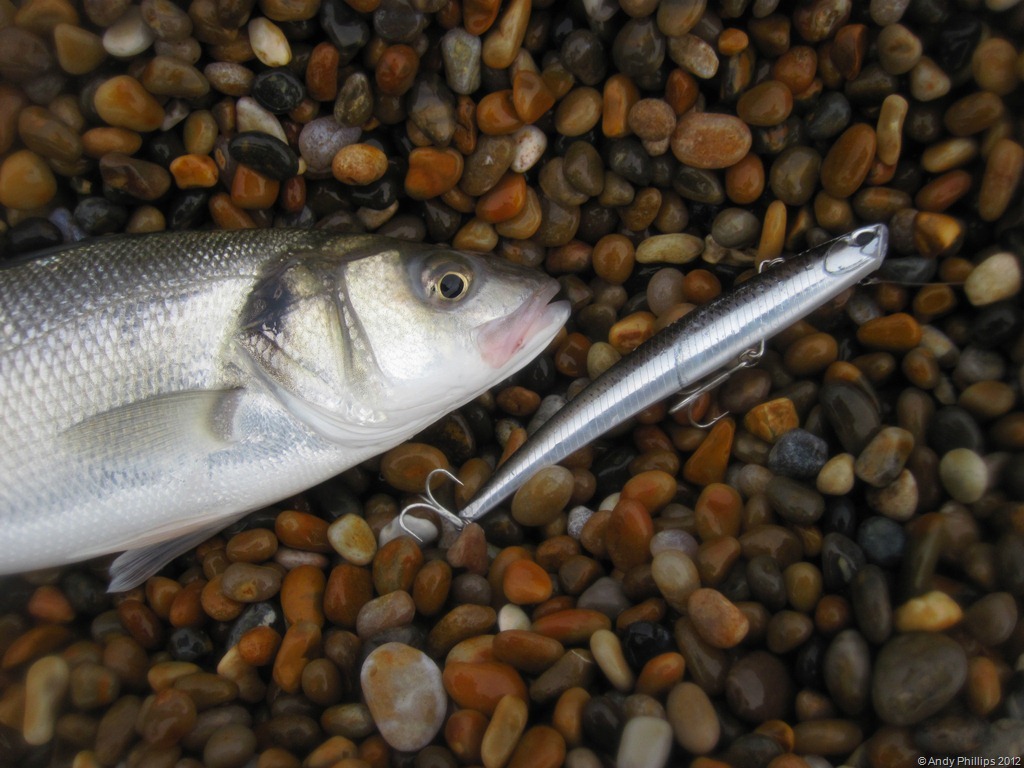 [IMG_1258%255B9%255D.jpg]