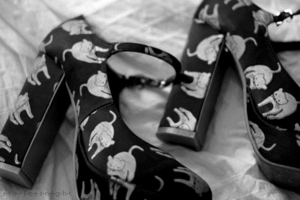 beautiful-black-and-white-cat-cats-cute-Favim.com-286868 beautiful-black-and-white-cat-cats-cute-Favim.com-286868