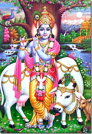 Lord Krishna