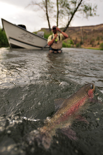 Picture from Bend Fly Shop