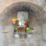 SAM_0368.JPG