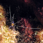 IMG_8842.JPG