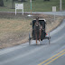 Amish country horse and buggy