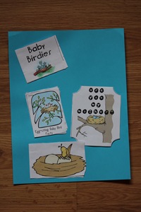 IMG_3629 IMG_3629