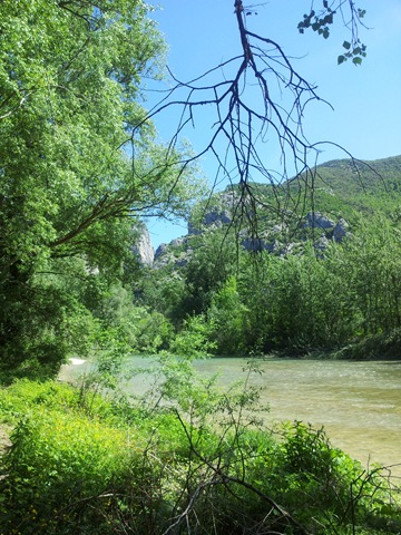 [furlo20123.jpg]