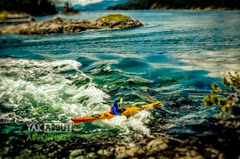 (c)Worldwildadventures-3829