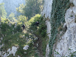 Camiño de Tresviso