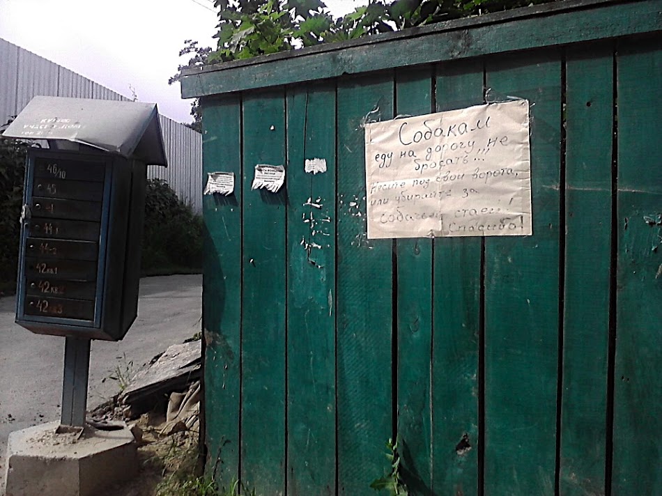 P300711_15.39.jpg
