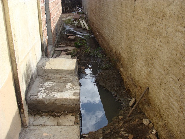 [DSC013204.jpg]