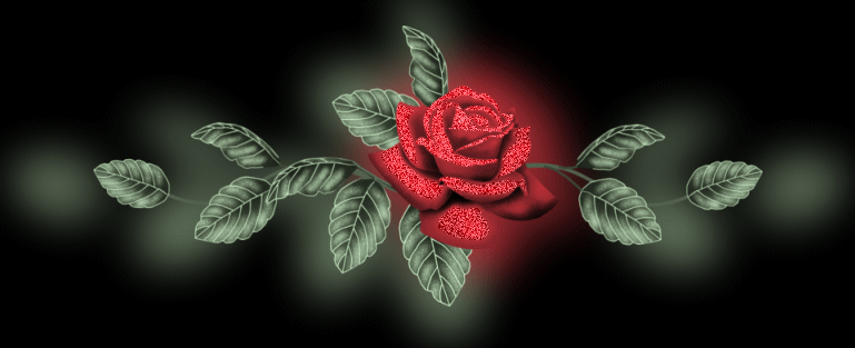 rosas rosas