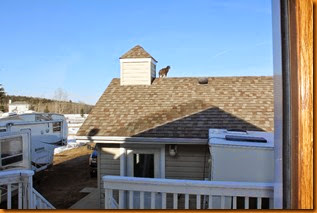 IMG_3886 IMG_3886
