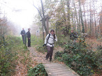 http://lh3.ggpht.com/-dlLl6jRzCcY/Trj08SoBJNI/AAAAAAAACfc/vlJf1JVKL0I/Raeren%252520031.JPG