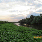 IMG_8197.JPG