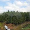 hokkaido_170.jpg