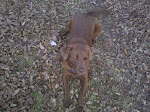 As Time Goes By - Rudy