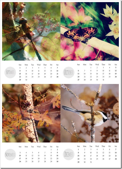 Sep-Dec 2013 Sep-Dec 2013