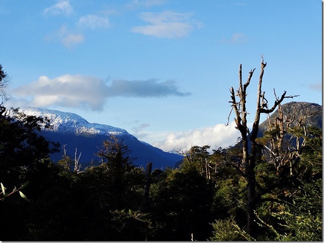 CarreteraAustral_DSC01104 CarreteraAustral_DSC01104
