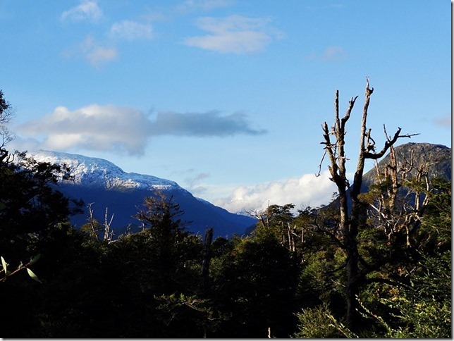 CarreteraAustral_DSC01104