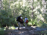 IMG_8590.JPG Photo