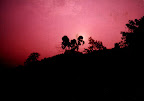 myphoto1.jpg