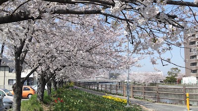 2014-03-28 13.28.57.jpg