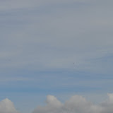 DSC_0087.jpg