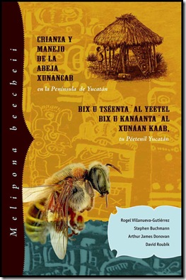 MayanBooklet