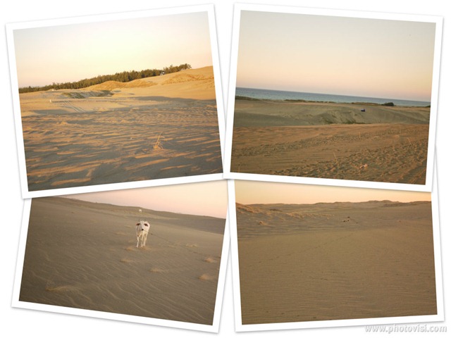 paoay sand dunes