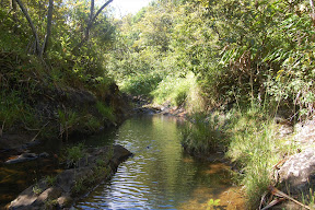 DSC_0020.JPG