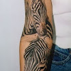 Zebras