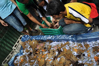 pinoyecofarm vermicomposting seminar _0069.JPG