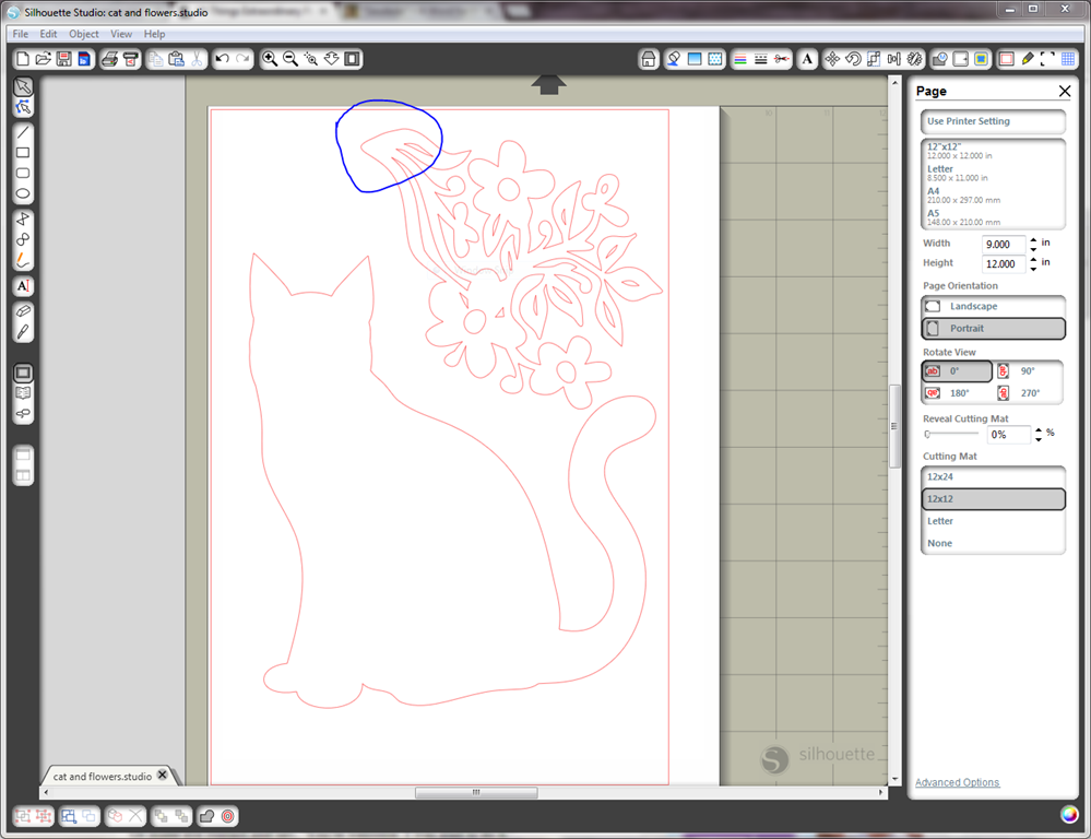 [cat%2520and%2520flower%255B3%255D.png]