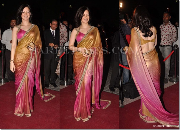 Urvashi_Sharma_Designer_Saree