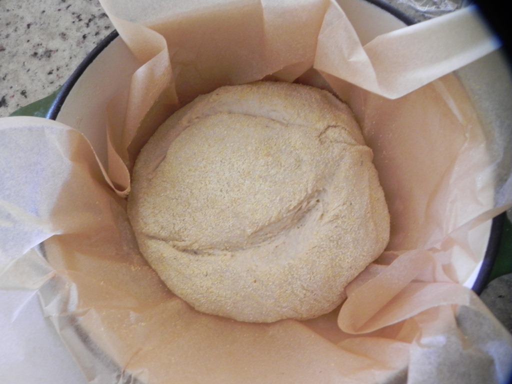 [DSCN9783%255B4%255D.jpg&description=Cornmeal Peasant Boule for Abby Dodge’s]