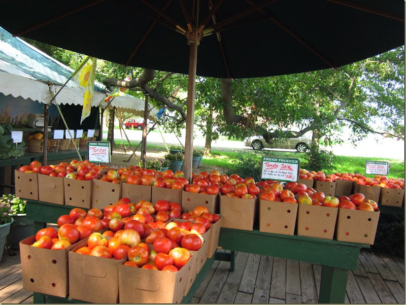 lesters tomatoes