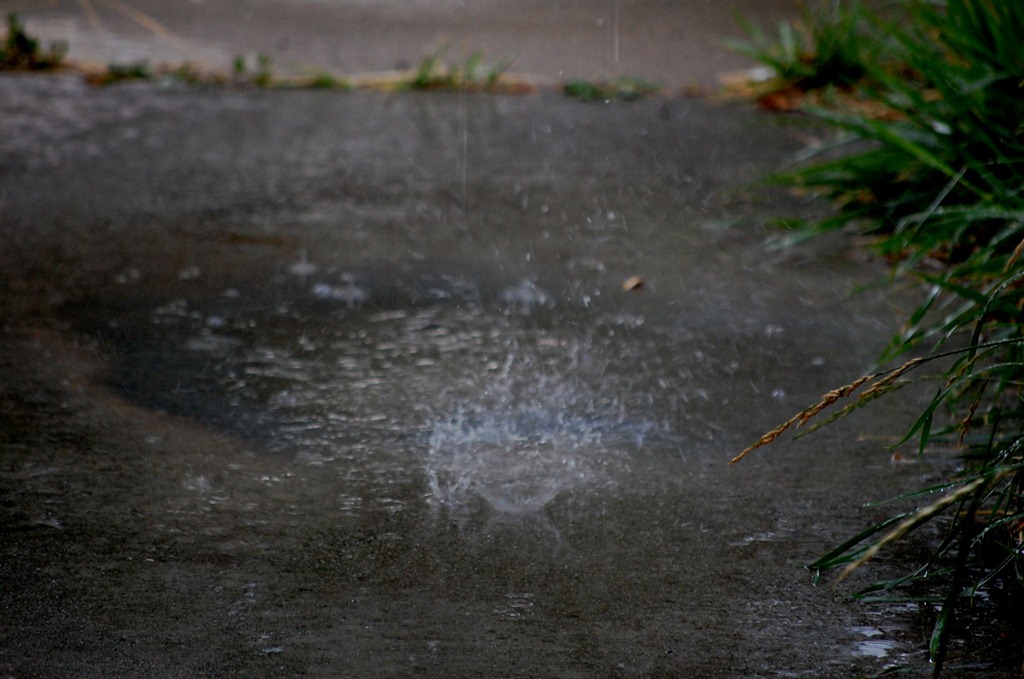 [rain76.jpg]