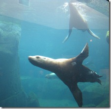 IMG_4851 IMG_4851